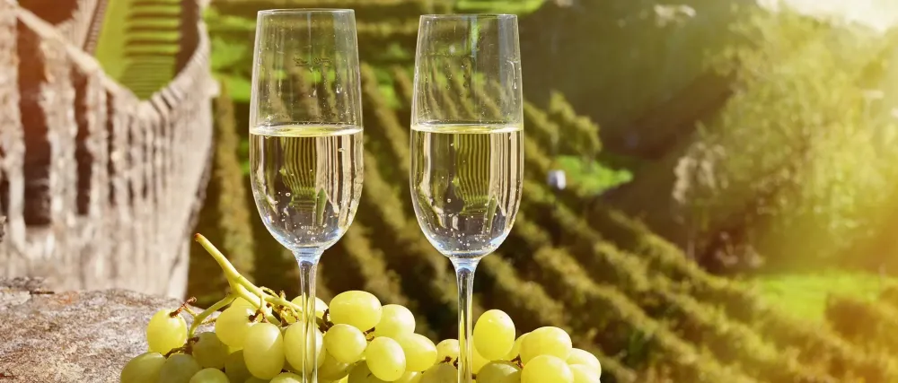 Achat Champagne en ligne à Beaunay