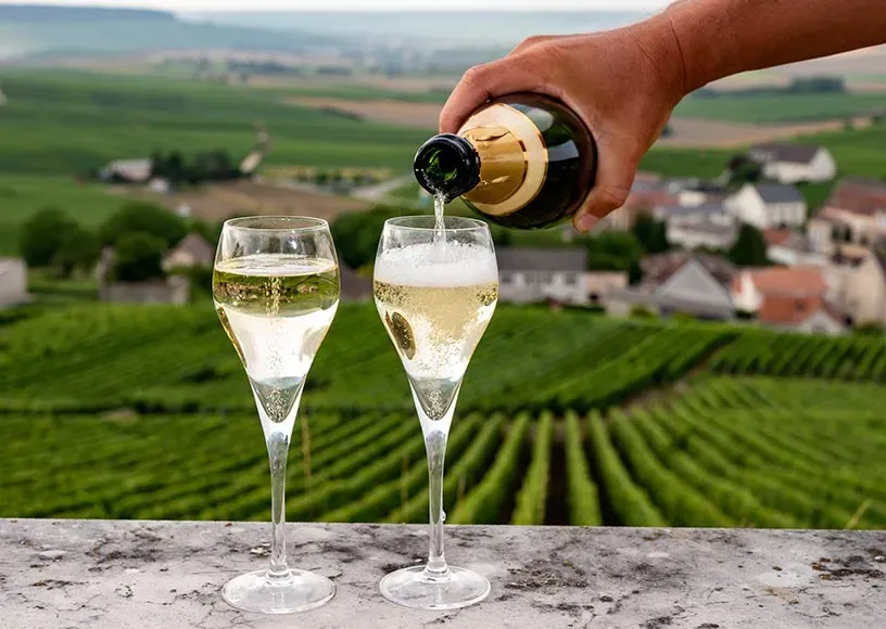 champagne (9)